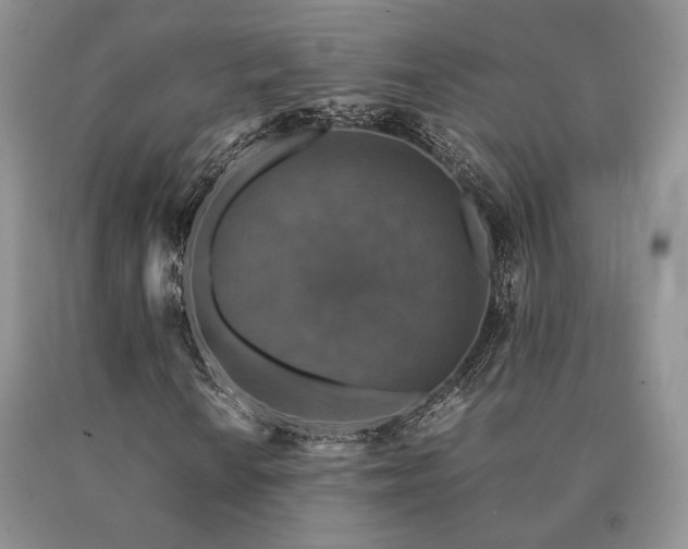 X0000091061010200708061238
