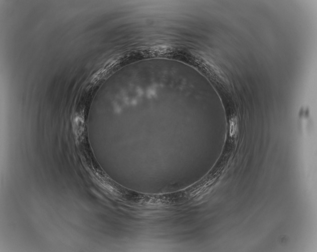 X0000091061011200708061238