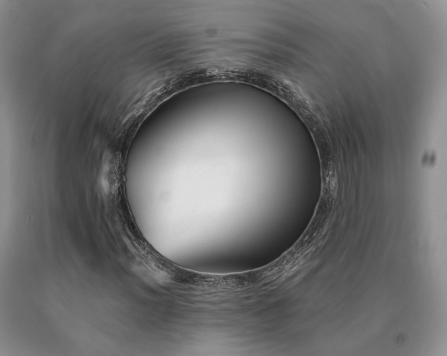 X0000091061012200708061238