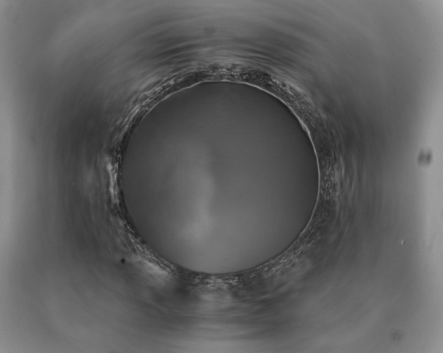 X0000091061013200708061238