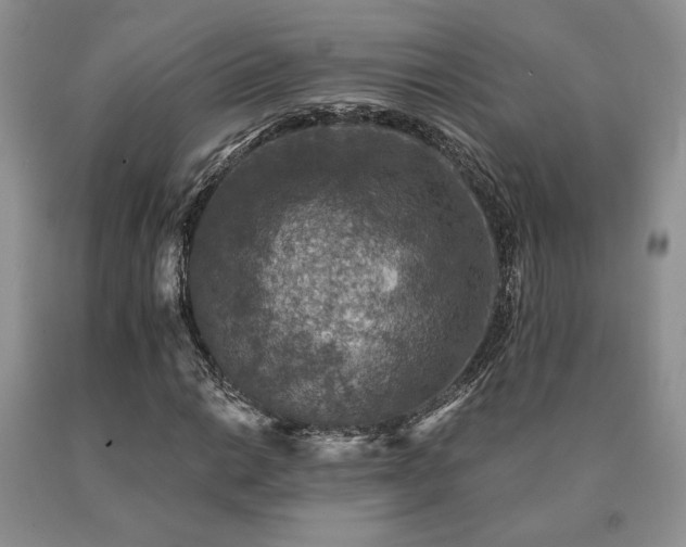 X0000091061014200708061238