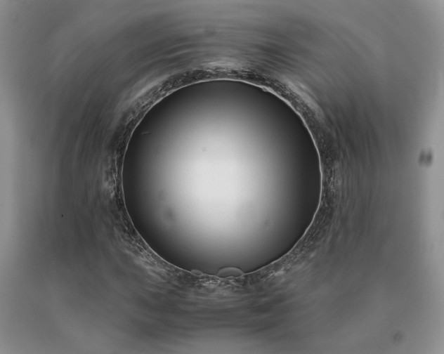 X0000091061015200708061238