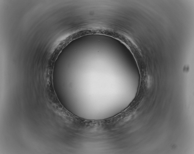 X0000091061016200708061238