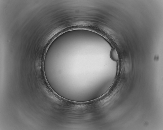 X0000091061017200708061238