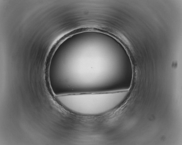 X0000091061020200708061238