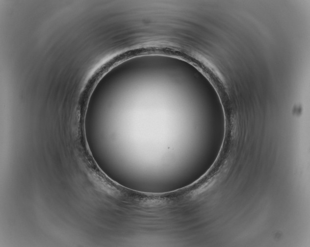 X0000091061021200708061238