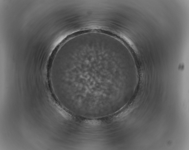 X0000091061023200708061238