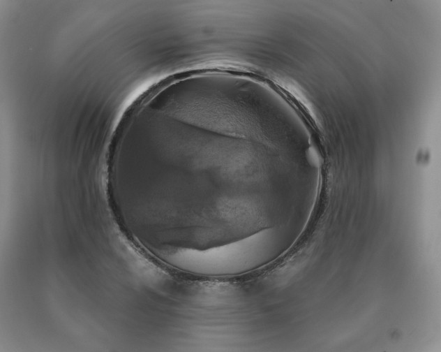 X0000091061024200708061238