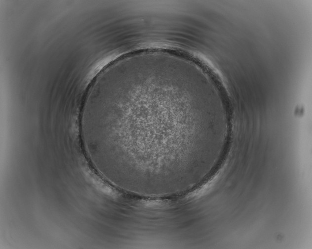 X0000091061025200708061238