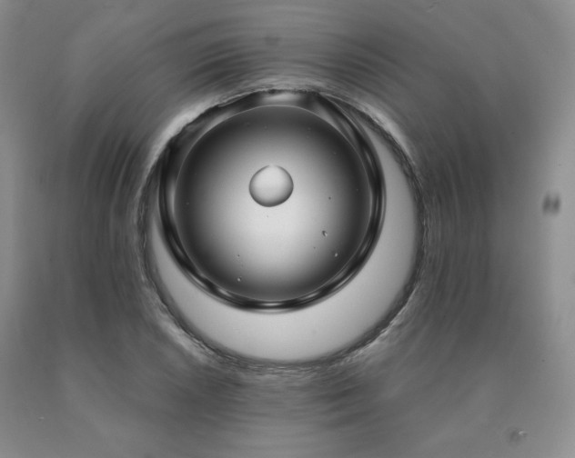 X0000091061026200708061238