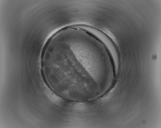 X0000091061028200708061238