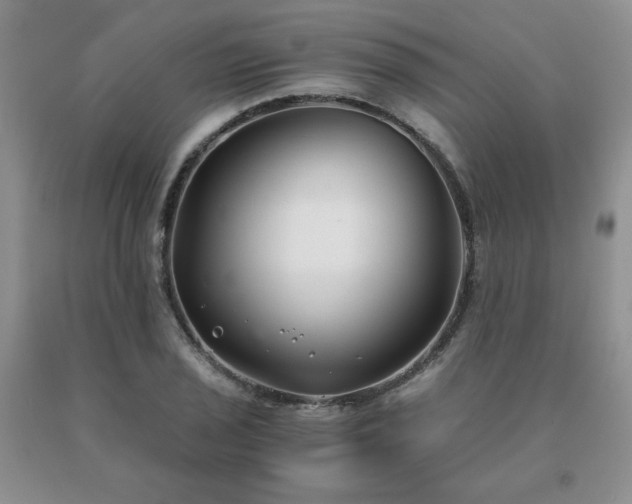 X0000091061029200708061238
