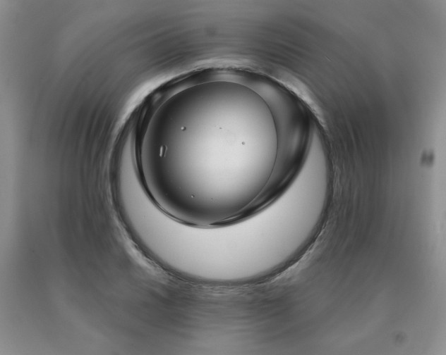 X0000091061030200708061238