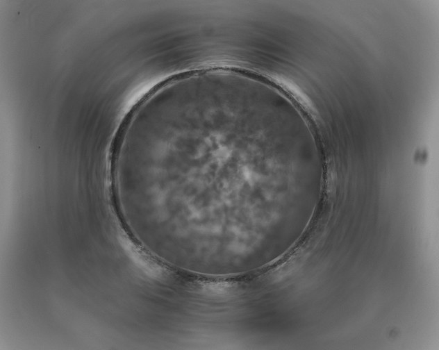 X0000091061031200708061238