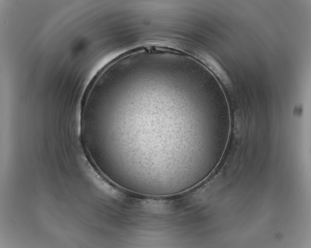 X0000091061036200708061238