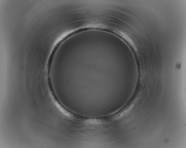 X0000091061037200708061238