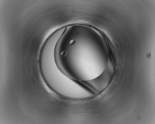 X0000091061038200708061238