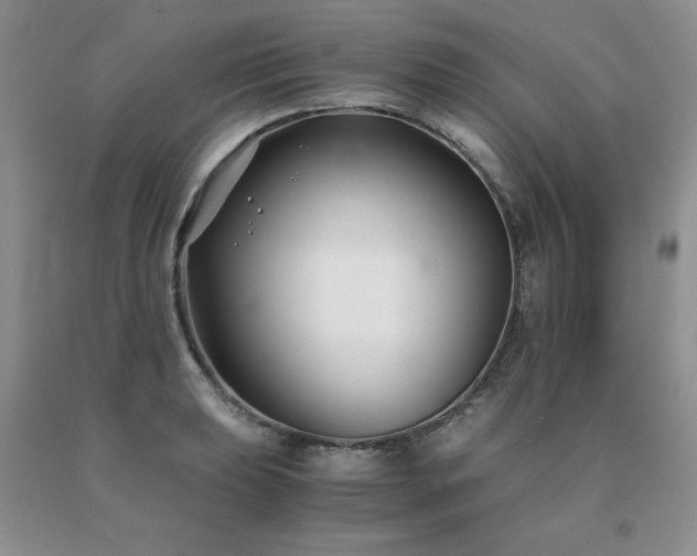 X0000091061039200708061238