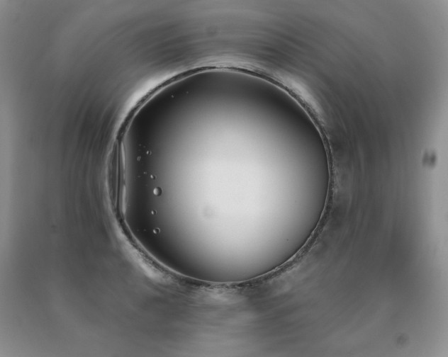 X0000091061040200708061238