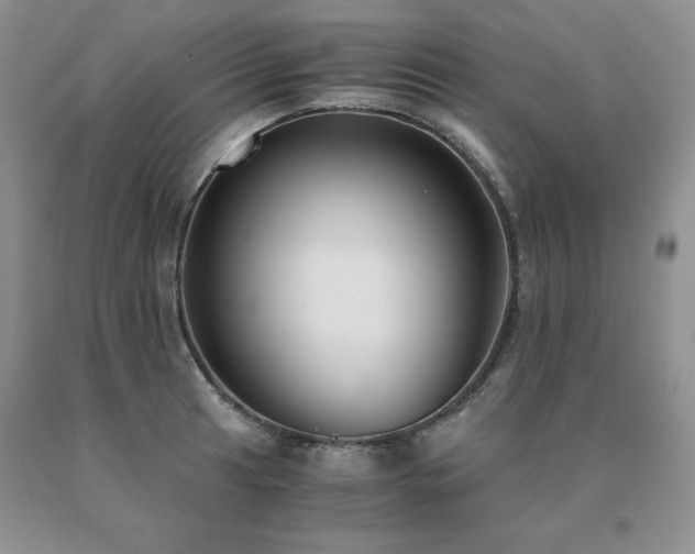 X0000091061041200708061238