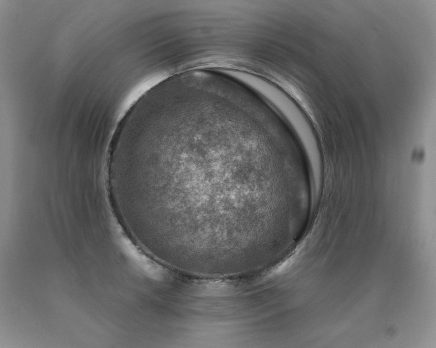X0000091061042200708061238