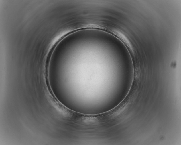 X0000091061043200708061238