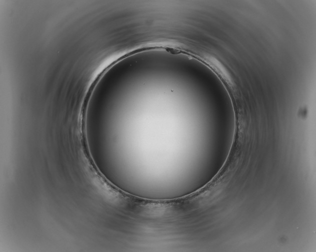 X0000091061044200708061238