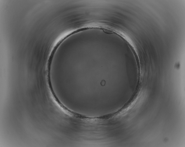 X0000091061045200708061238