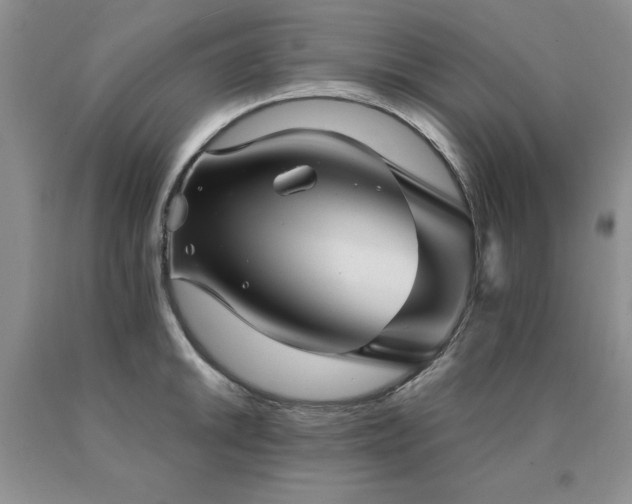 X0000091061046200708061238