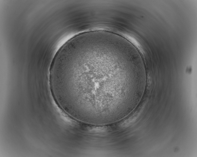 X0000091061047200708061238