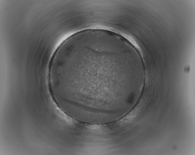 X0000091061048200708061238