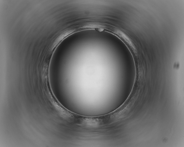 X0000091061049200708061238
