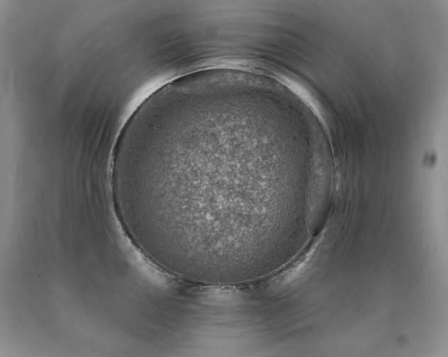 X0000091061050200708061238