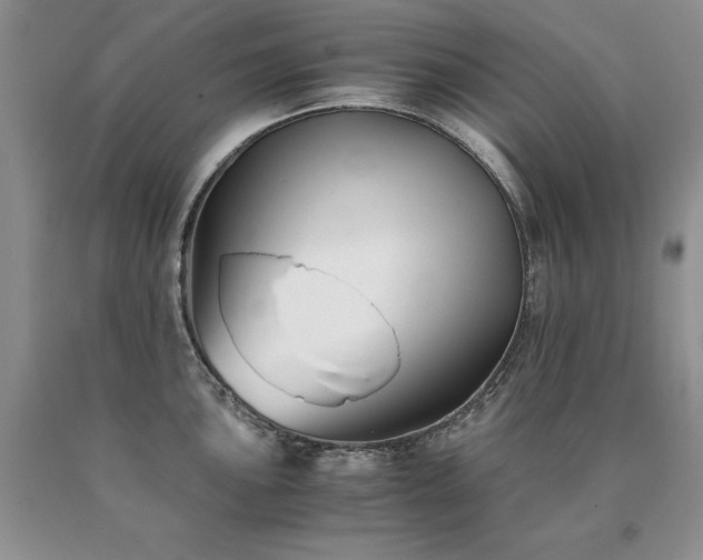 X0000091061051200708061238