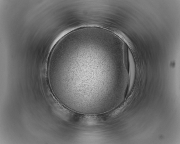 X0000091061052200708061238