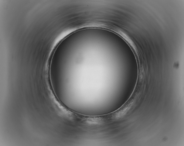X0000091061053200708061238