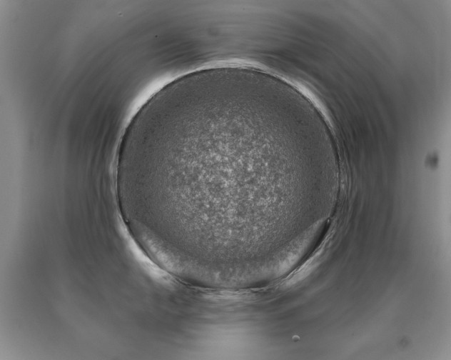 X0000091061054200708061238