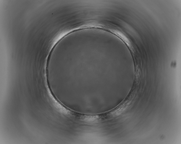 X0000091061055200708061238