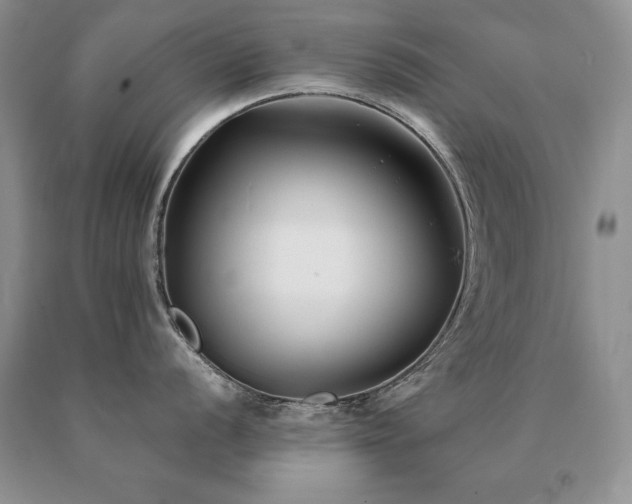 X0000091061056200708061238