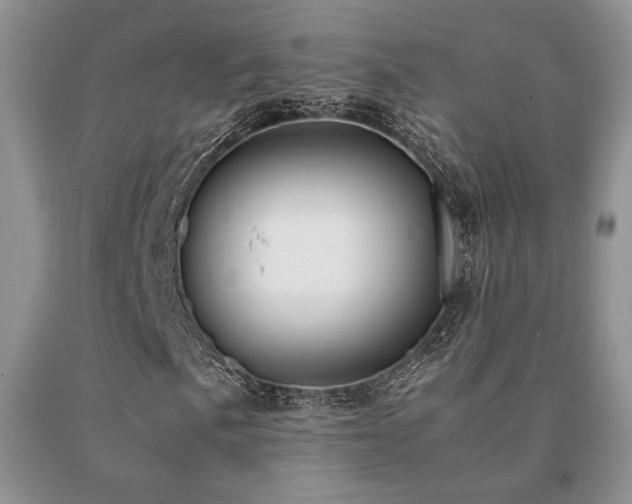 X0000091061057200708061237
