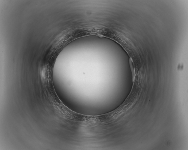X0000091061058200708061237