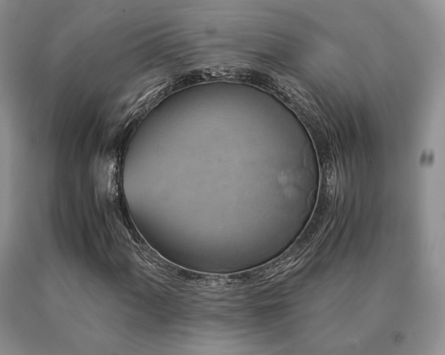 X0000091061060200708061237