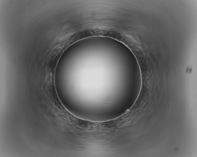 X0000091061061200708061237