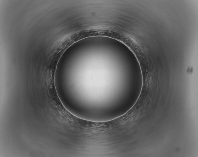 X0000091061062200708061237