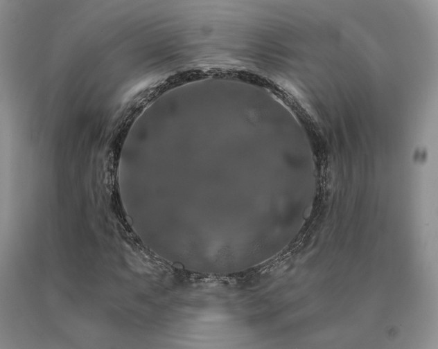 X0000091061063200708061237