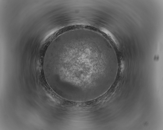 X0000091061064200708061237
