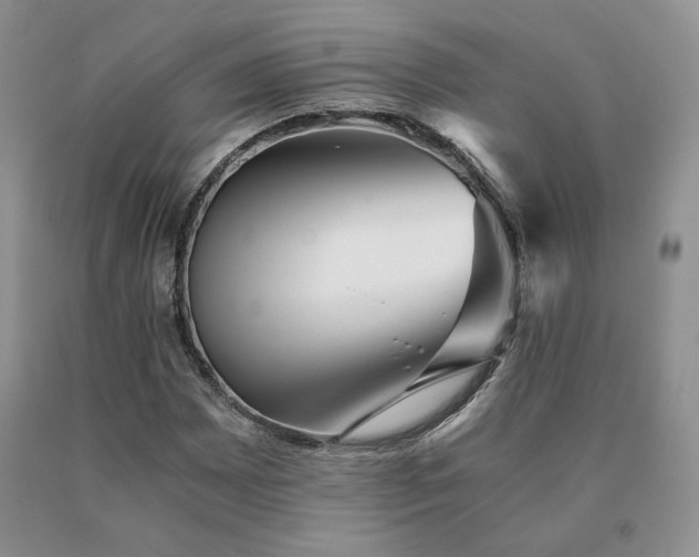 X0000091061065200708061237