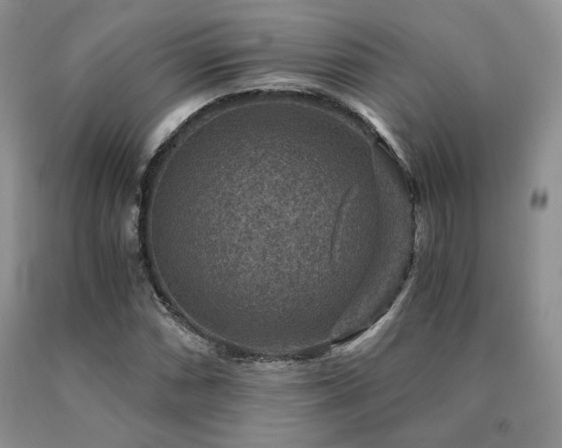 X0000091061066200708061237