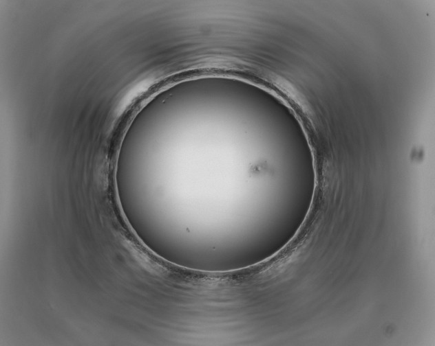 X0000091061067200708061237