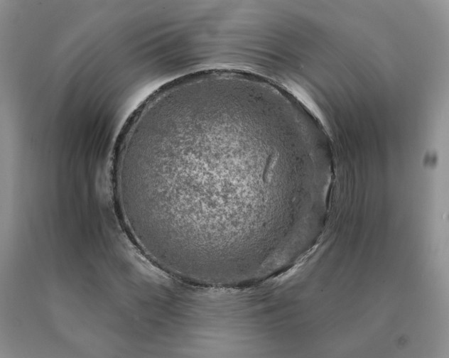 X0000091061068200708061237